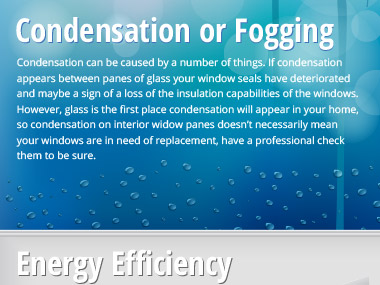 Clearview Vinyl Windows Infographic